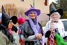 Faschingsumzug 2023 (Fotos Rochus Hetzendorfer)